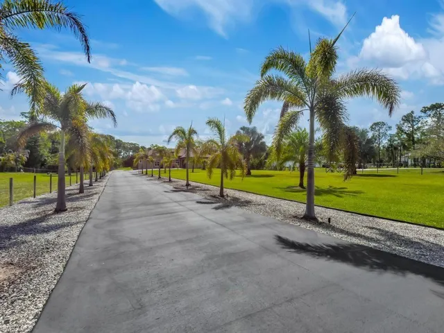 Amazing Landscaping