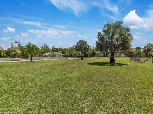 Huge Front Yard
