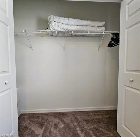 Spacious closet with carpet floors