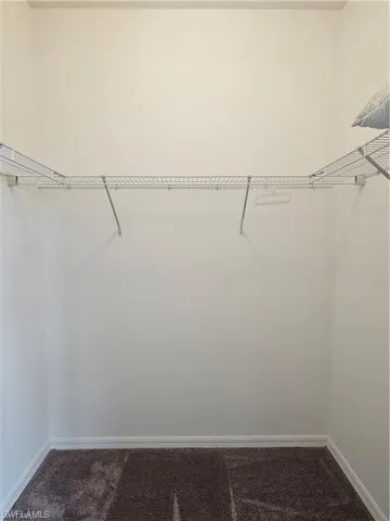 Spacious closet with dark carpet