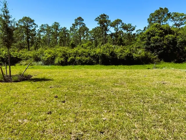 South preserve view