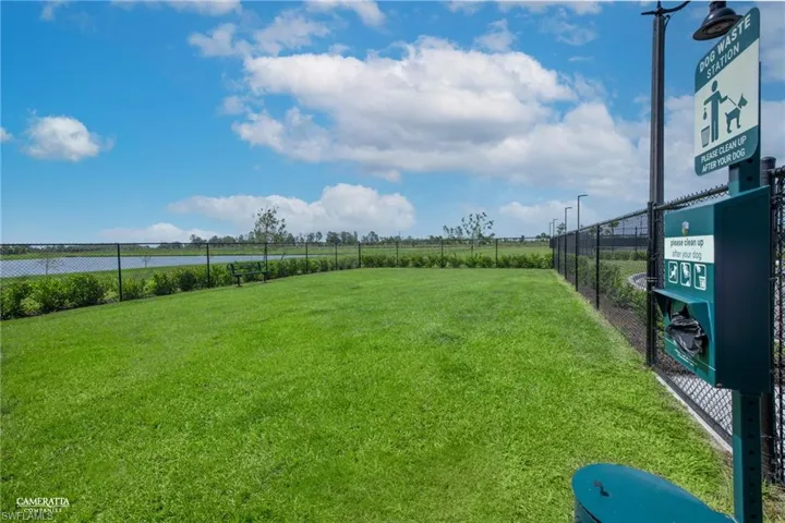 Dog Park