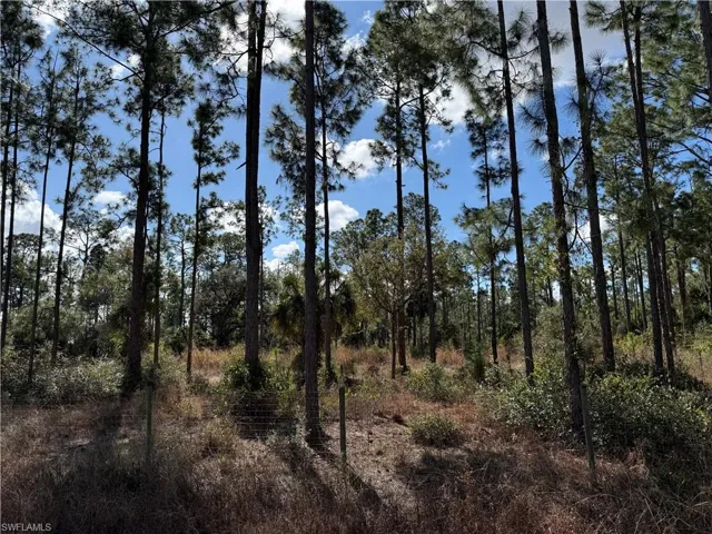 7583 19th Pl, Labelle, Florida 33935