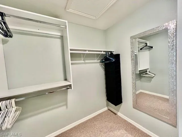Spacious closet with carpet and attic access