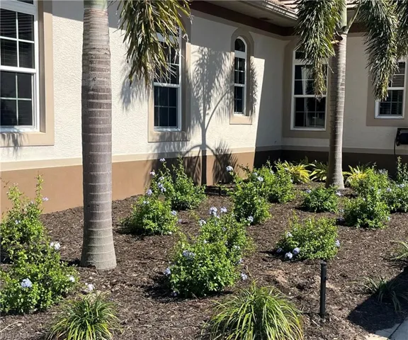 Fresh landscaping front and back.