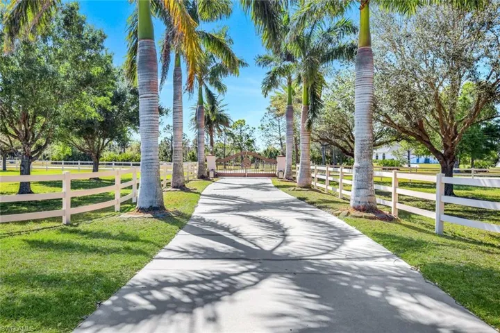 Majestic Royal Palm Entry to Property.