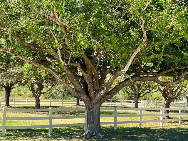 Vinyl Fenced Paddocks with shade trees.
