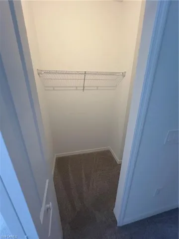 Walk in closet featuring carpet