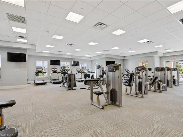 Gym featuring a drop ceiling, plenty of natural light, and light colored carpet