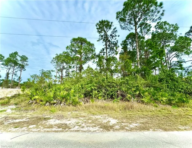 1117 Augusta ST E, LEHIGH ACRES FL 33974