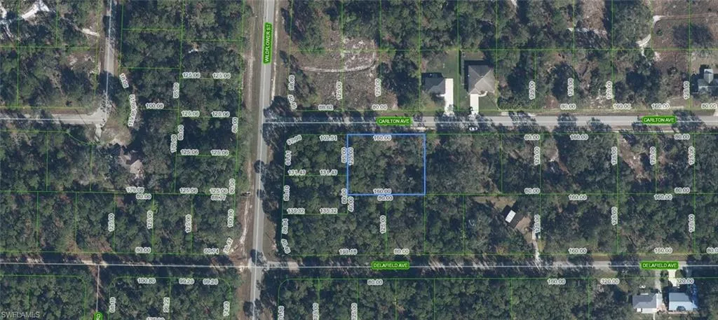3154 Carlton Ave, Lake Placid, Florida 33852