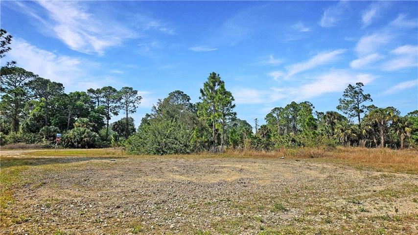 1007 Norwood CT, LEHIGH ACRES FL 33974