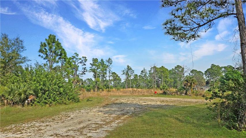 1007 Norwood CT, LEHIGH ACRES FL 33974