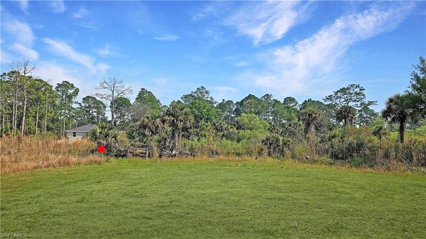 1007 Norwood CT, LEHIGH ACRES FL 33974