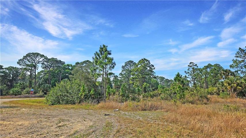 1007 Norwood CT, LEHIGH ACRES FL 33974