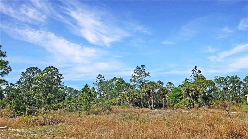 1007 Norwood CT, LEHIGH ACRES FL 33974