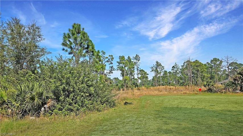 1007 Norwood CT, LEHIGH ACRES FL 33974
