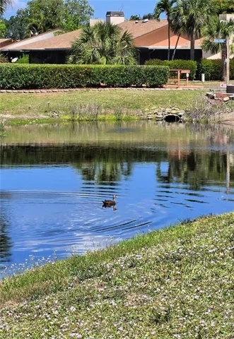 Beautiful Nature