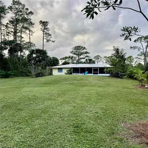 View of yard + back of home