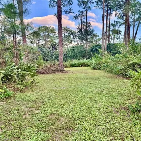 View of yard at dusk