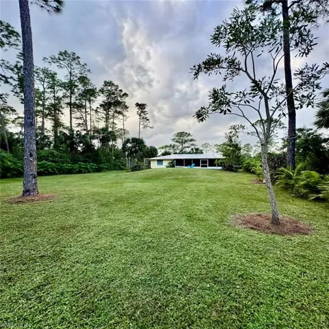 View of yard + back of home