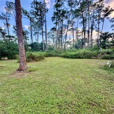 View of yard at dusk