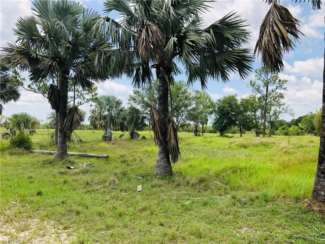 Pasture