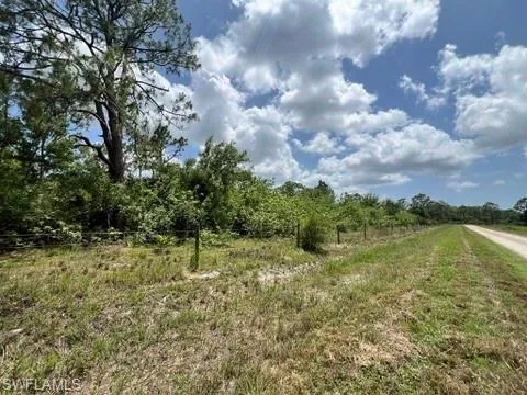 View of local wilderness with rural landscape