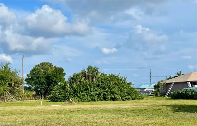 Back of the Lot