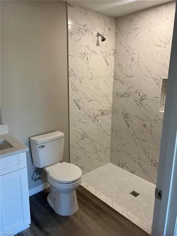 Bathroom with vanity, dark wood-type flooring, and a shower stall