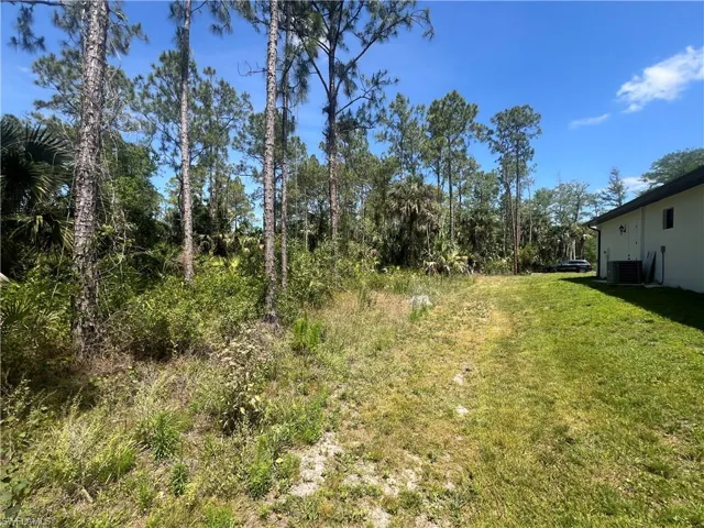 Boundary line from the rear of lot.  Property on left