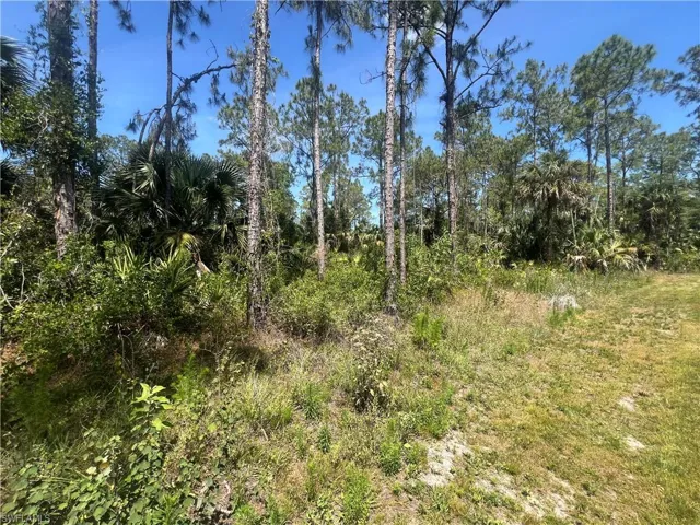 Rear view of lot from boundary line