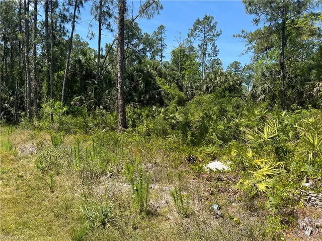 Boundary line at East side of lot