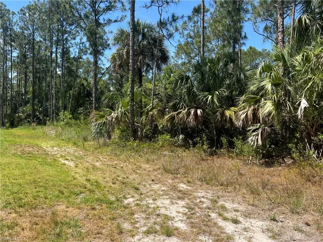 Boundary line at East side of lot