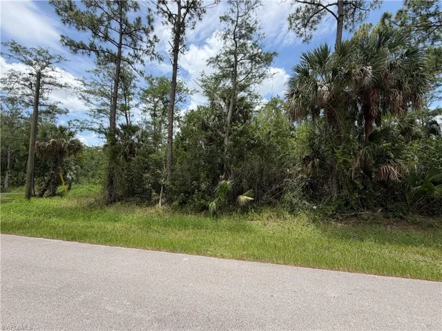 Street view - from West side of lot