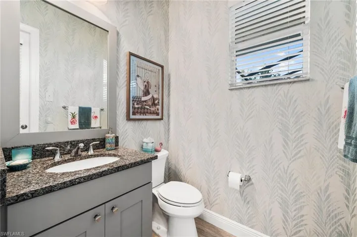 Bathroom with vanity, wood-type flooring, and toilet