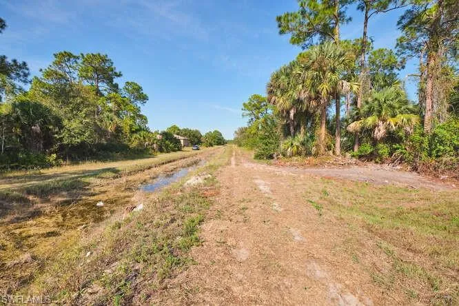 View of dirt / gravel road