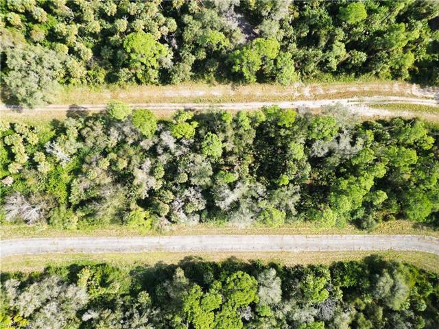 542  MARIGOLD  CIR, Labelle, FL 33935