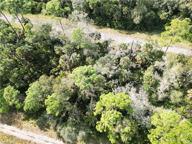 542  MARIGOLD  CIR, Labelle, FL 33935
