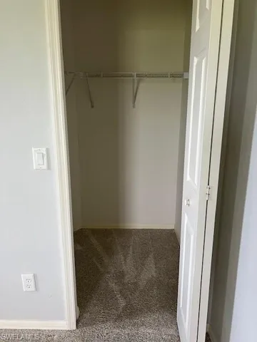 Spacious closet with carpet
