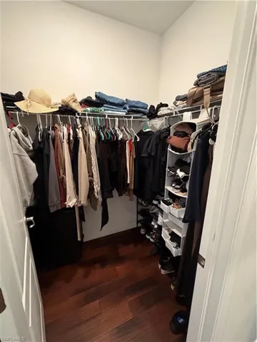 Walk in closet with dark wood-type flooring