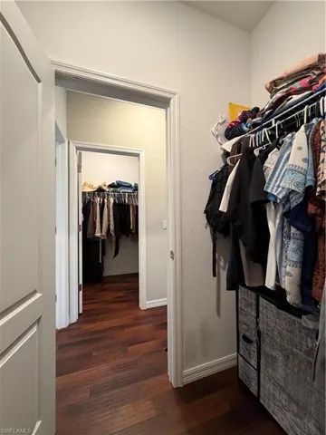 Walk in closet with dark wood-style floors