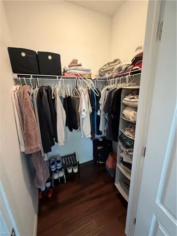Walk in closet with dark wood-type flooring