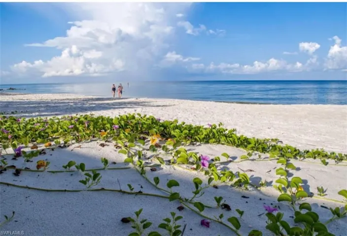 Your beach is calling!