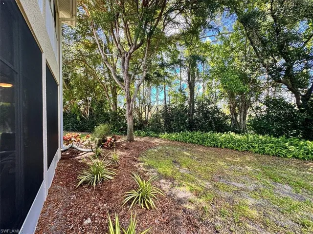 View of rear yard
