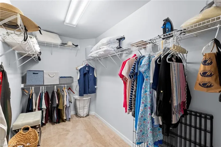 Spacious closet featuring carpet floors