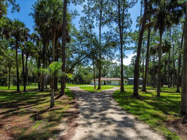 Surrounding community featuring gravel driveway, a yard, and view of wooded area