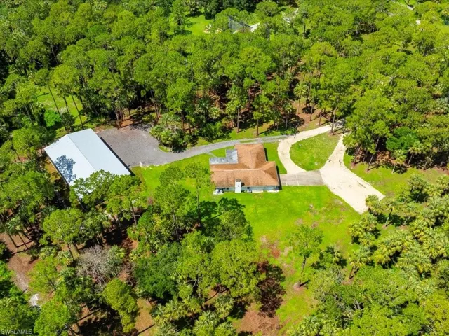 Drone / aerial view of a forest