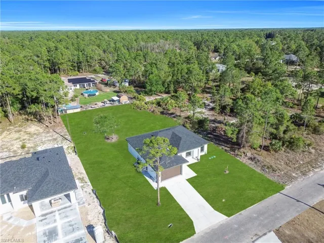 Drone / aerial view of a forest