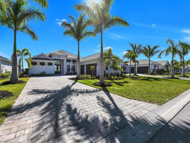 New Giant Palm Trees & Pristine Landscaping